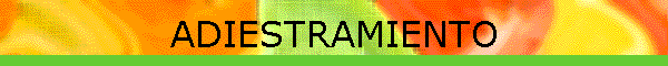 ADIESTRAMIENTO