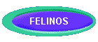 FELINOS