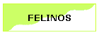 FELINOS