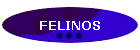 FELINOS
