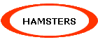 HAMSTERS