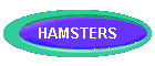 HAMSTERS