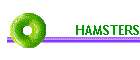 HAMSTERS