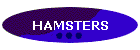 HAMSTERS