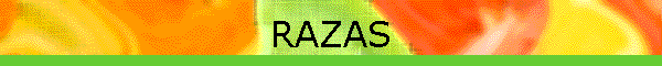 RAZAS