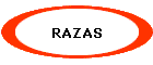 RAZAS