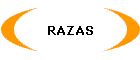 RAZAS