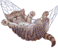 3fc0ea1050282240.gif (36086 bytes)