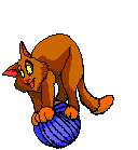 cat005.gif (9620 bytes)