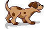 cvxbcvb2.gif (21117 bytes)