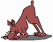 find.gif (1935 bytes)